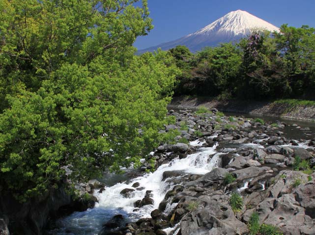 xmREY Mt.fuji