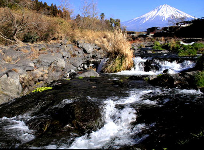 xmREY Mt.fuji