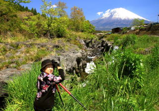 xmREY Mt.fuji